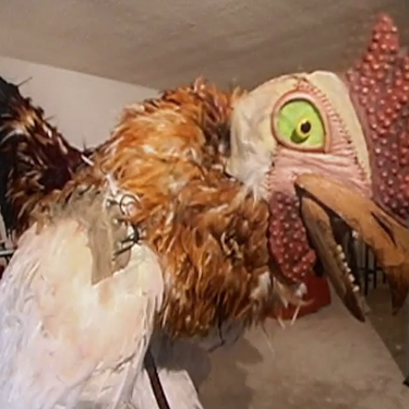 A chicken took us viral
